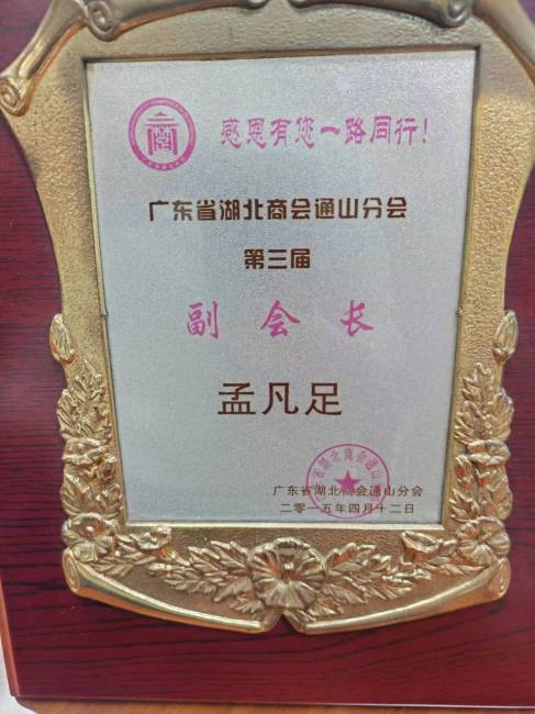 Council member certificate