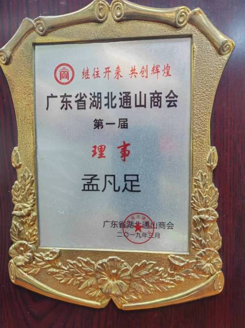 Hubei Chamber of Commerce vice-president